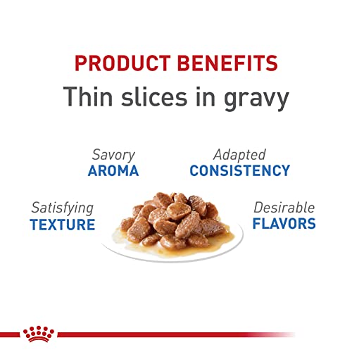 Royal Canin Feline Care Nutrition Weight Care Adult Thin Slices in Gravy Cat Food, 3 oz (Pack of 24)