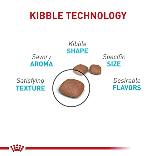 Royal Canin Feline Care Nutrition Urinary Care Adult Dry Cat Food, 6 lb Bag