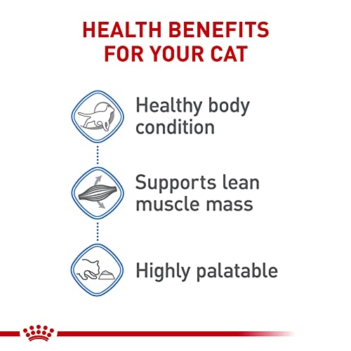 Royal Canin Feline Care Nutrition Weight Care Adult Thin Slices in Gravy Cat Food, 3 oz (Pack of 24)